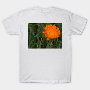 ebs orange poppy T-Shirt